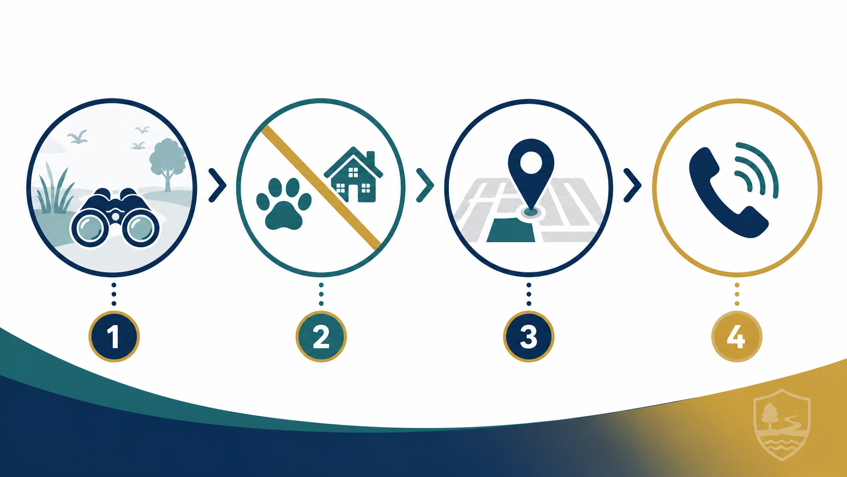 CARSI Australian H5 public reporting process infographic
